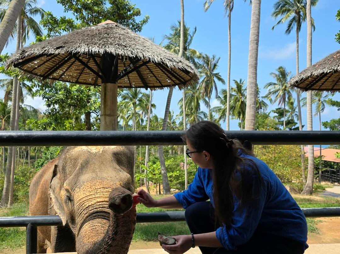 Samui Elephant Sanctuary-波普特必去景点