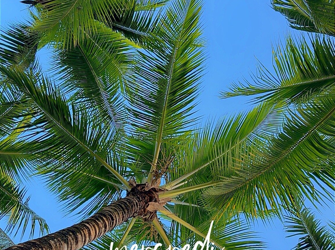 Mauricia Beachcomber Resort & Spa-大湾必去景点