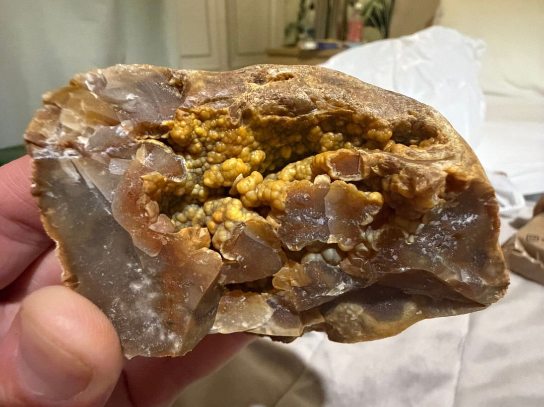 Isle of Wight Fossil Hunts - Island Gems-Godshill必去景点