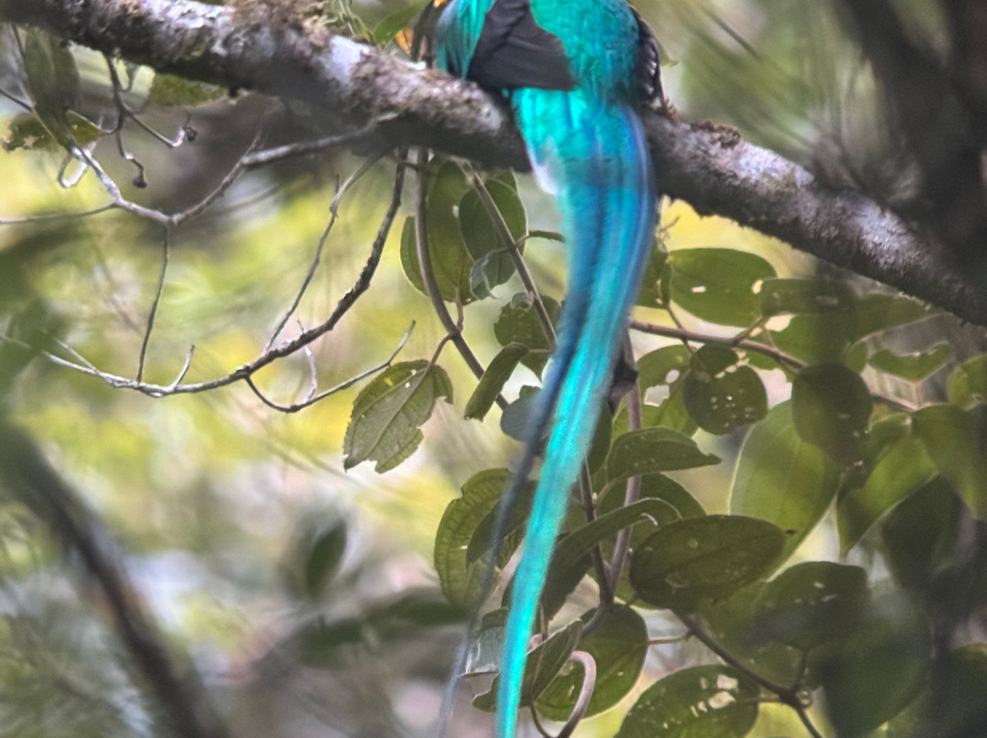 Highland Birds Tours-多塔圣赫拉多必去景点