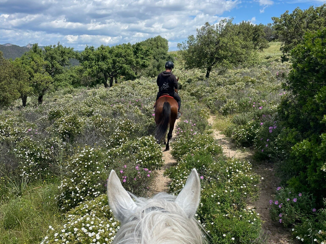 Centro Equestre Il Falco-Castiadas必去景点