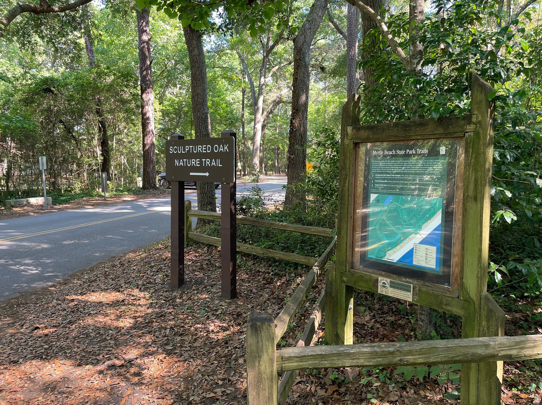 Myrtle Beach State Park-美特尔海滩必去景点