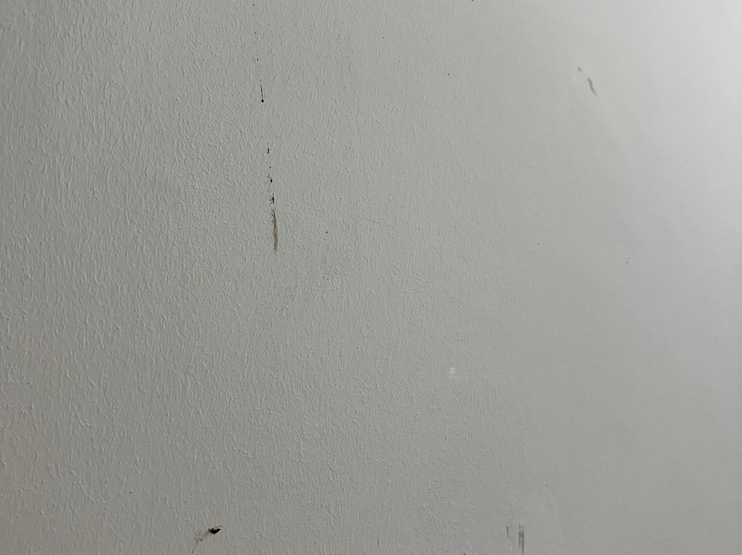 弗拉明戈海滩集团酒店主图