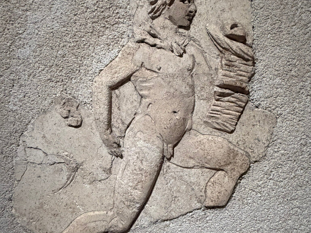 Museo archeologico di Stabiae "Libero D’Orsi"-斯塔比亚海堡必去景点