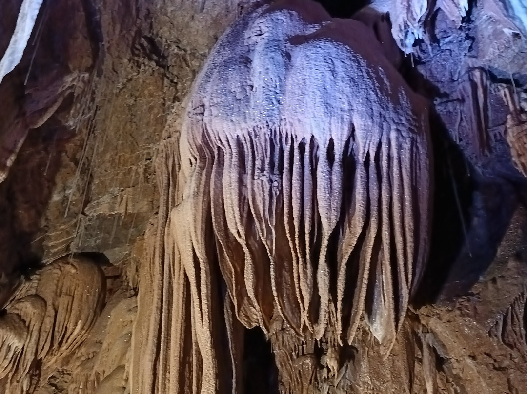 Grotte de Trabuc-Mialet必去景点