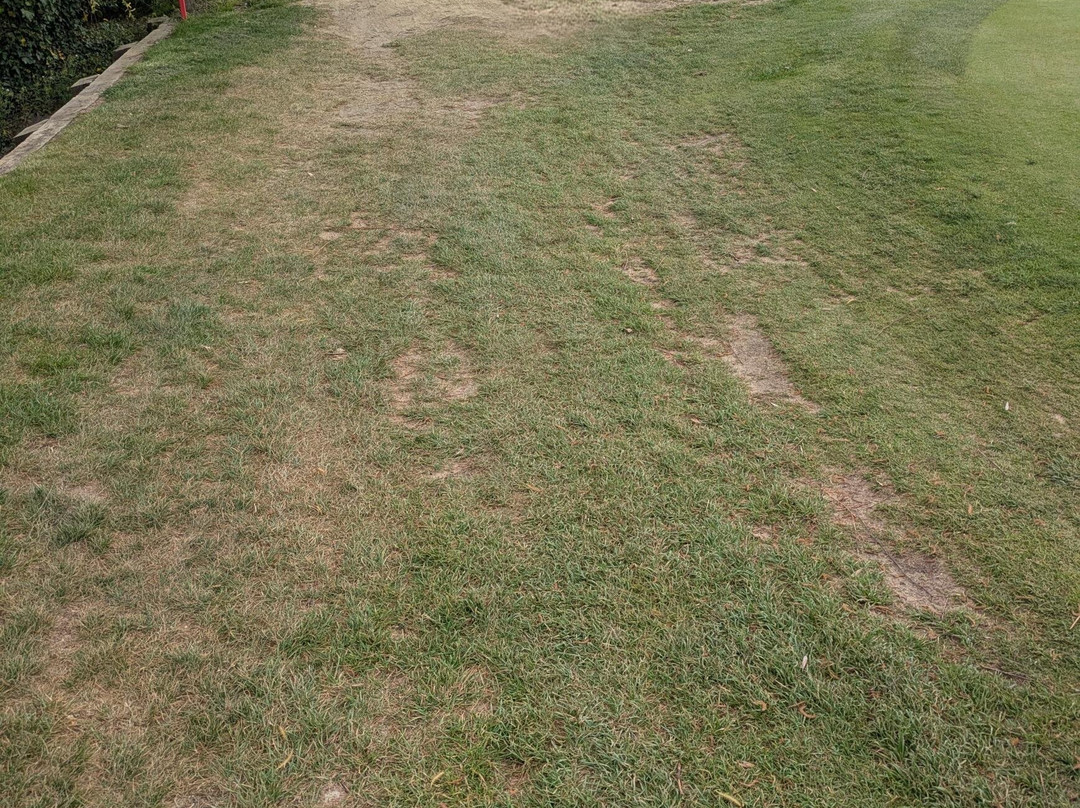 St. Margaret's Golf & Country Club-Swords必去景点