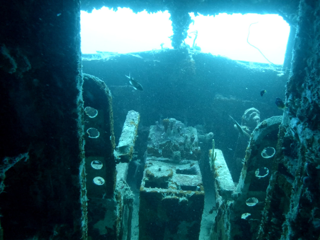 JADS Dive Center-San Nicolas必去景点
