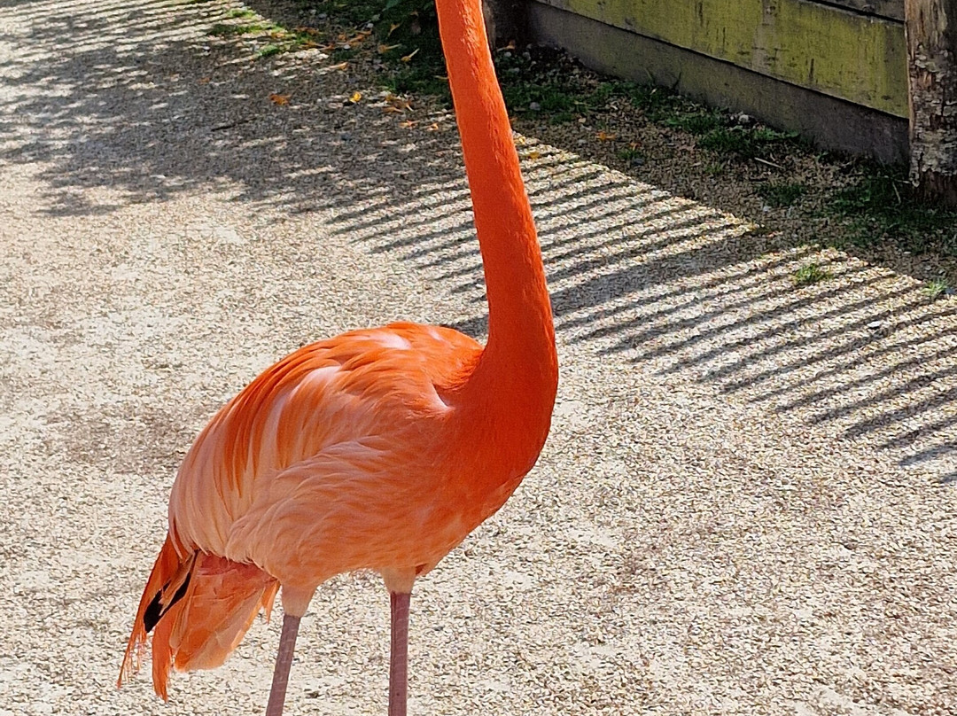 Parc Animalier et Botanique de Branféré-Le Guerno必去景点