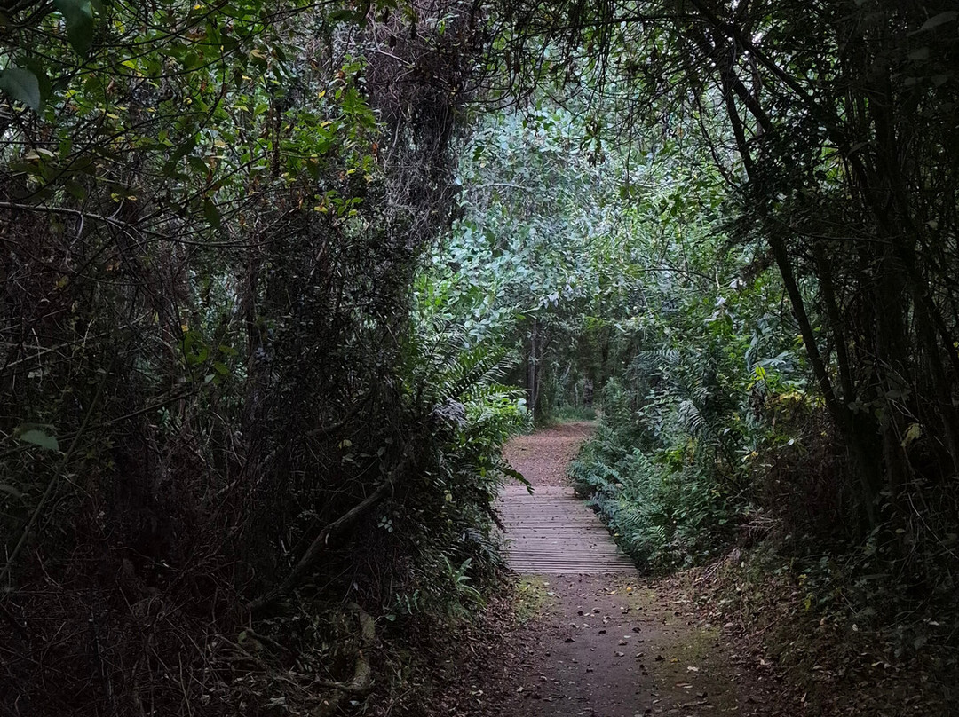 Centro de Humedales Río Cruces-瓦尔迪维亚必去景点