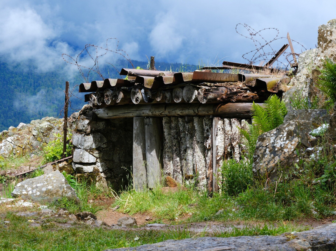 Historial franco-allemand du Hartmannswillerkopf-Wattwiller必去景点
