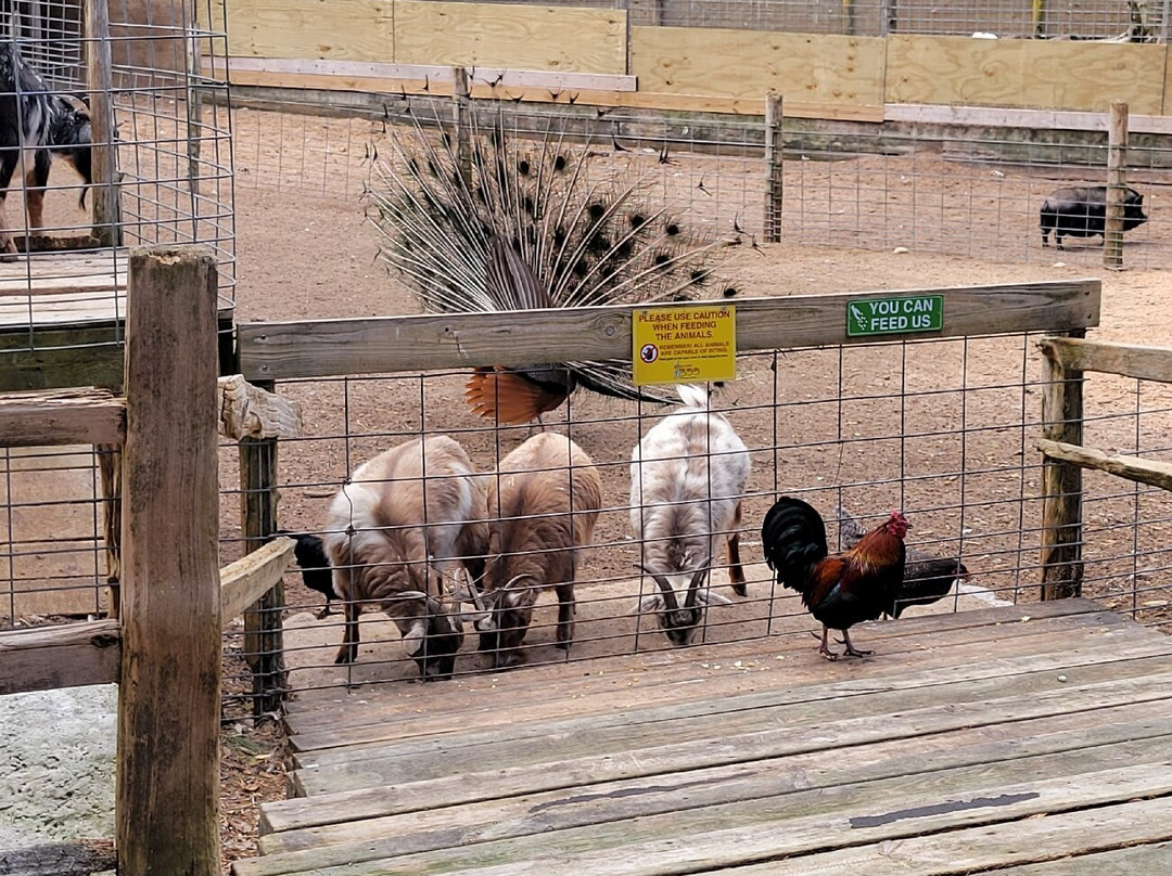 GarLyn Zoo Wildlife Park-Naubinway必去景点