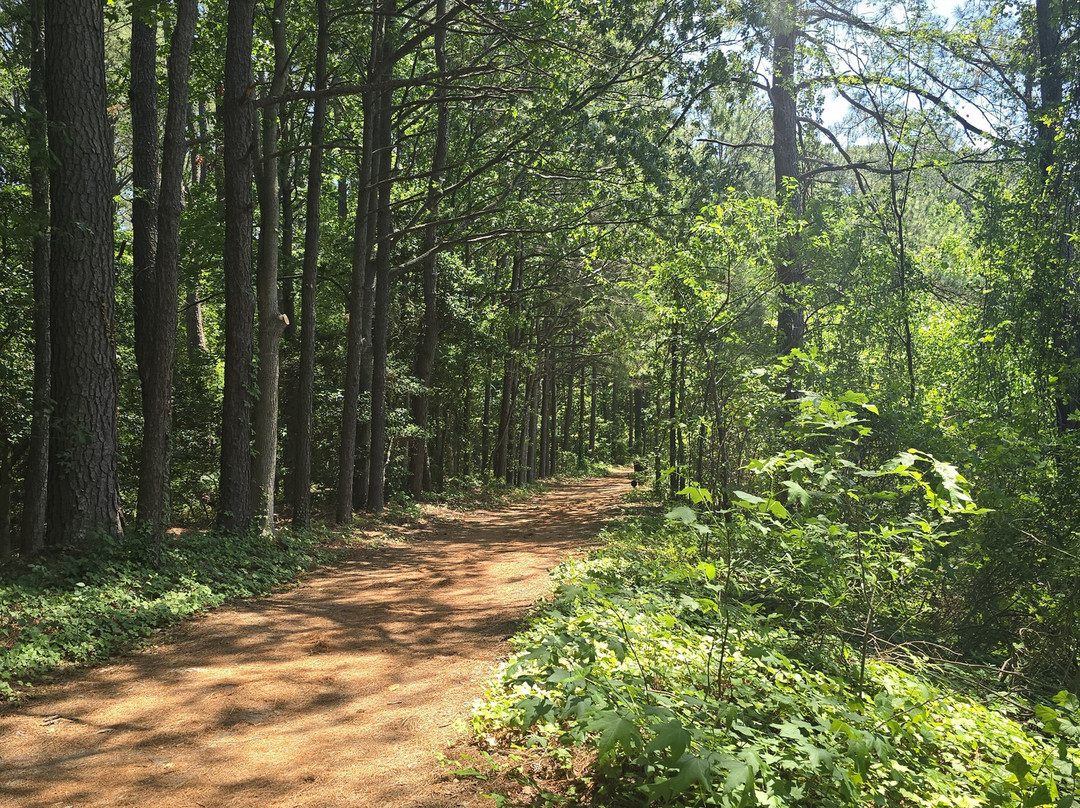 Hoffler Creek Wildlife Preserve-朴次茅斯必去景点