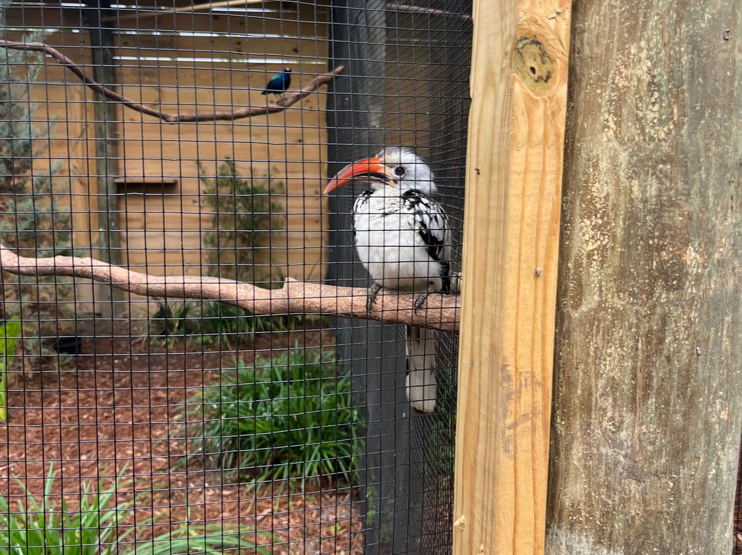 North Florida Wildlife Center-Lamont必去景点