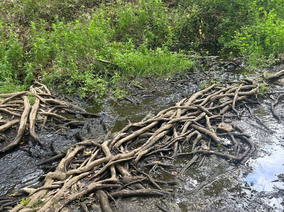 Richtis Gorge-Exo Mouliana必去景点