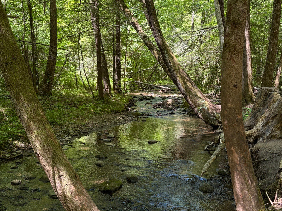 Great Smoky Mountains National Park-盖林柏格必去景点
