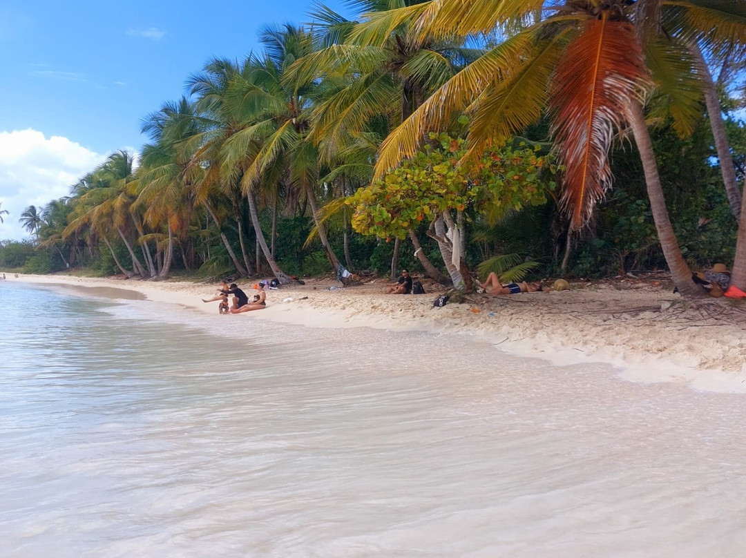 Canto De La Playa