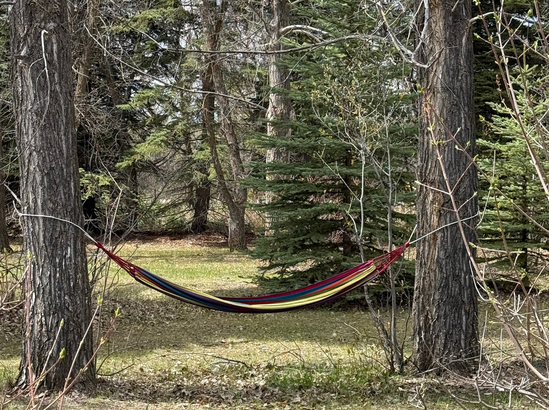 Echo Valley Provincial Park-Fort Qu'Appelle必去景点