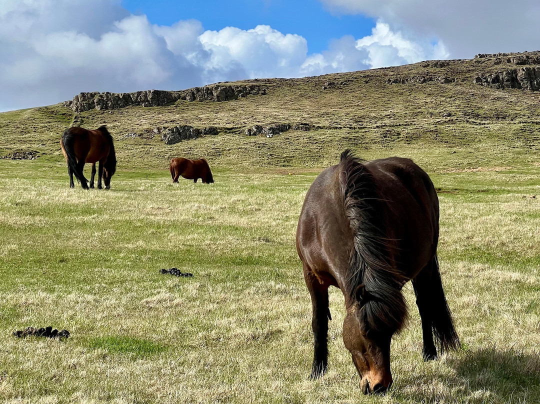 Riding Tours South Iceland-Fludir必去景点