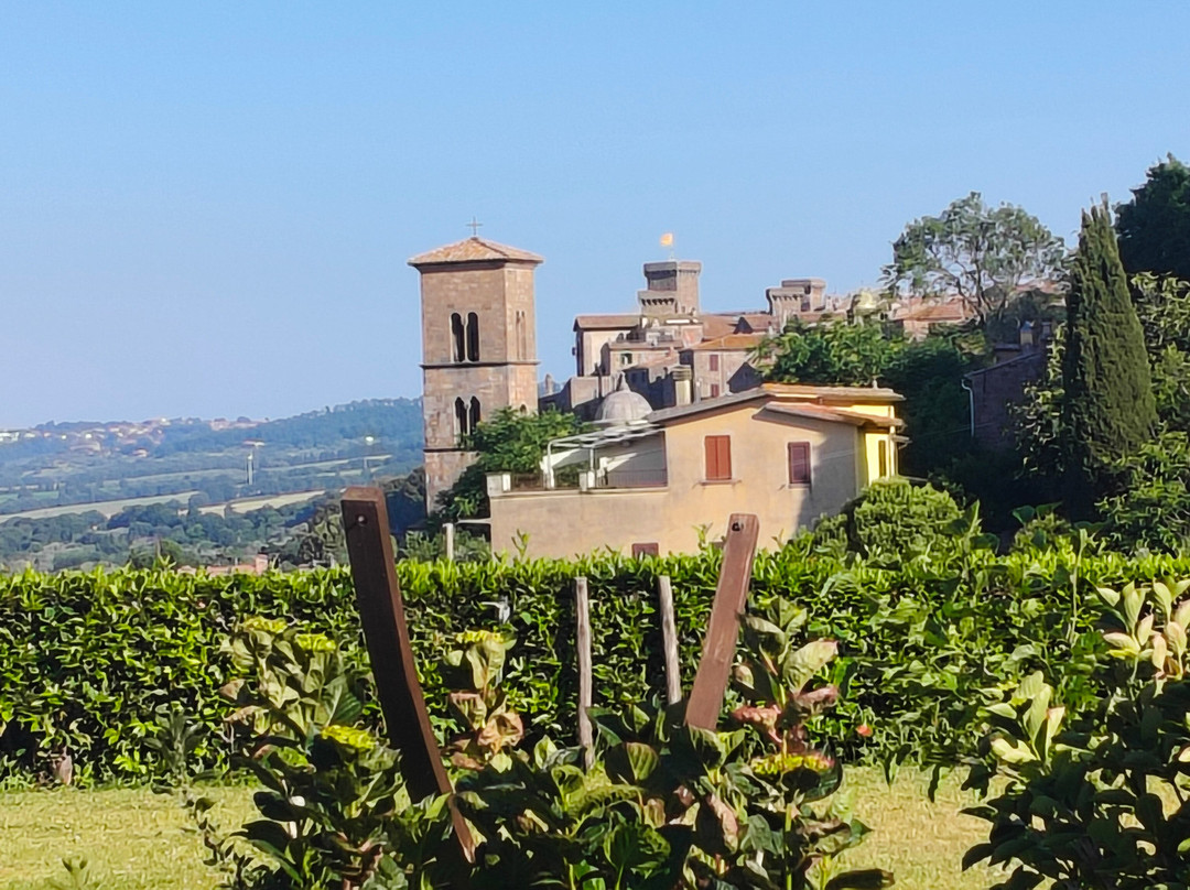 Comune di Bolsena-博尔塞纳必去景点