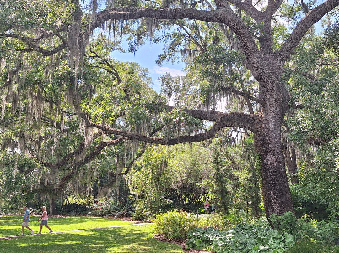 Bok Tower Gardens-莱克威尔士必去景点