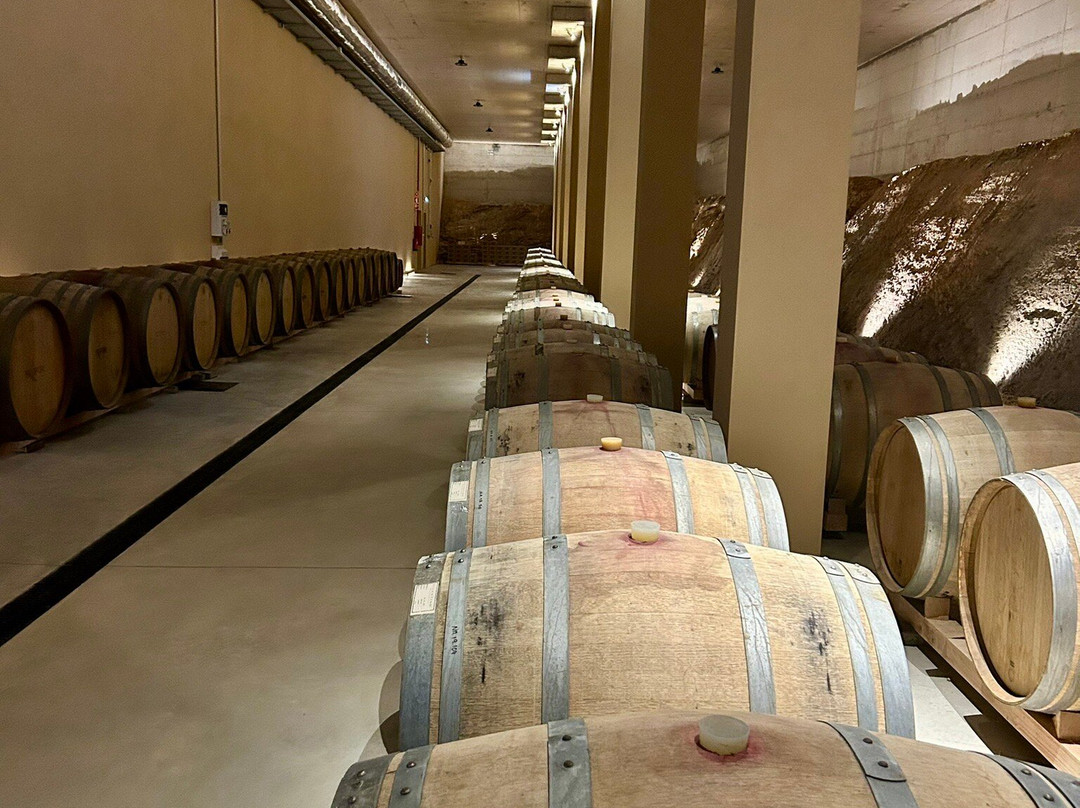 Vicentino Wines-Odemira必去景点