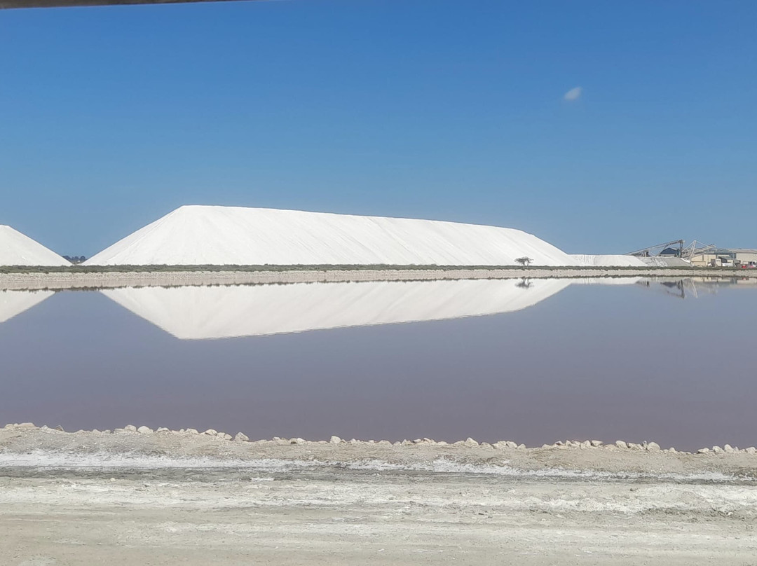 Salin d'Aigues-Mortes-艾格莫尔特必去景点