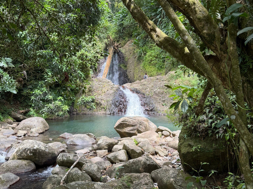 Seven Sisters Waterfalls Grenada-Grand Etang National Park必去景点