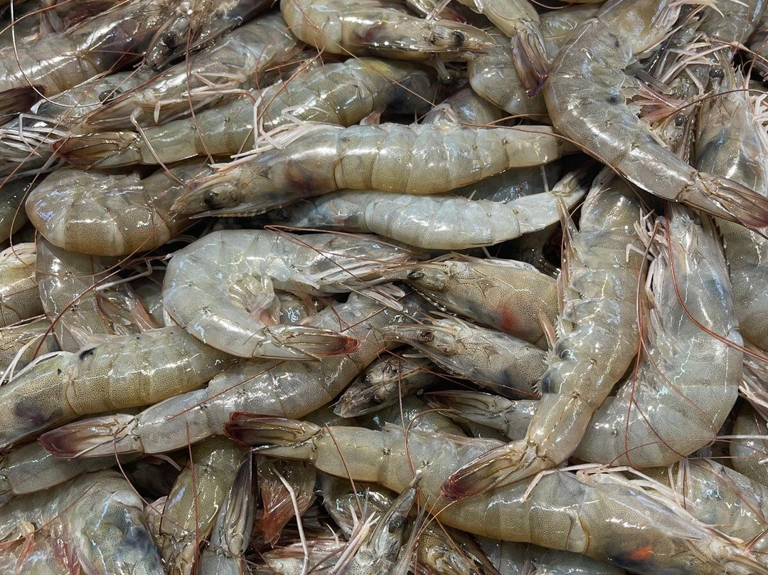 Cascais Fish Market-卡斯凯什必去景点
