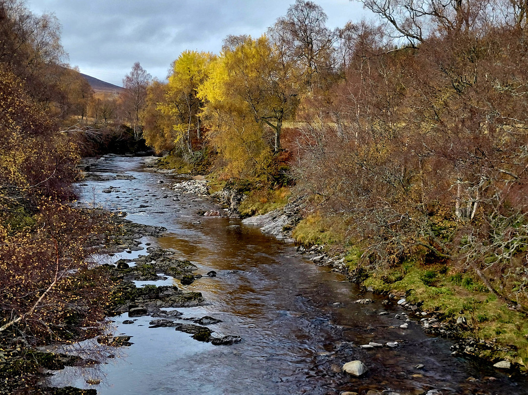 Inverness Custom  Tours-因弗内斯必去景点