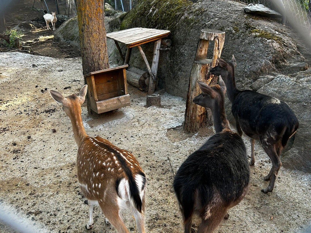 Zoo Et Piscine des Marécottes-Les Marecottes必去景点