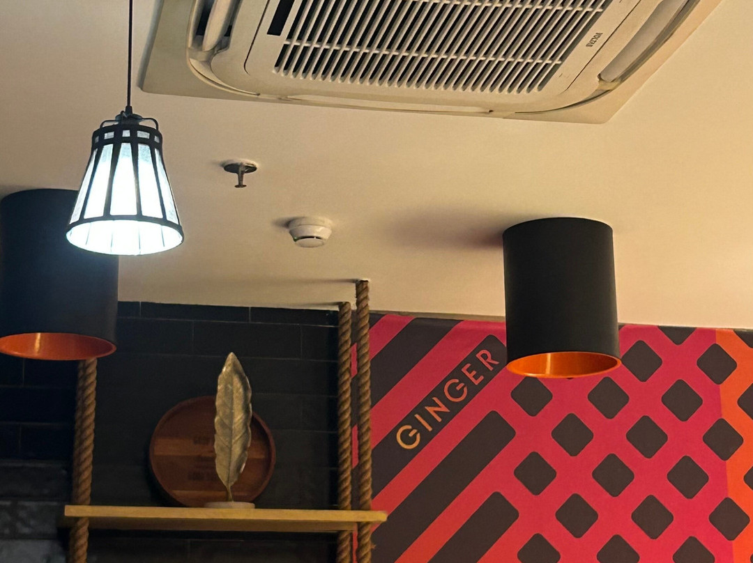 东德里精吉尔酒店-维韦克豪尔主图