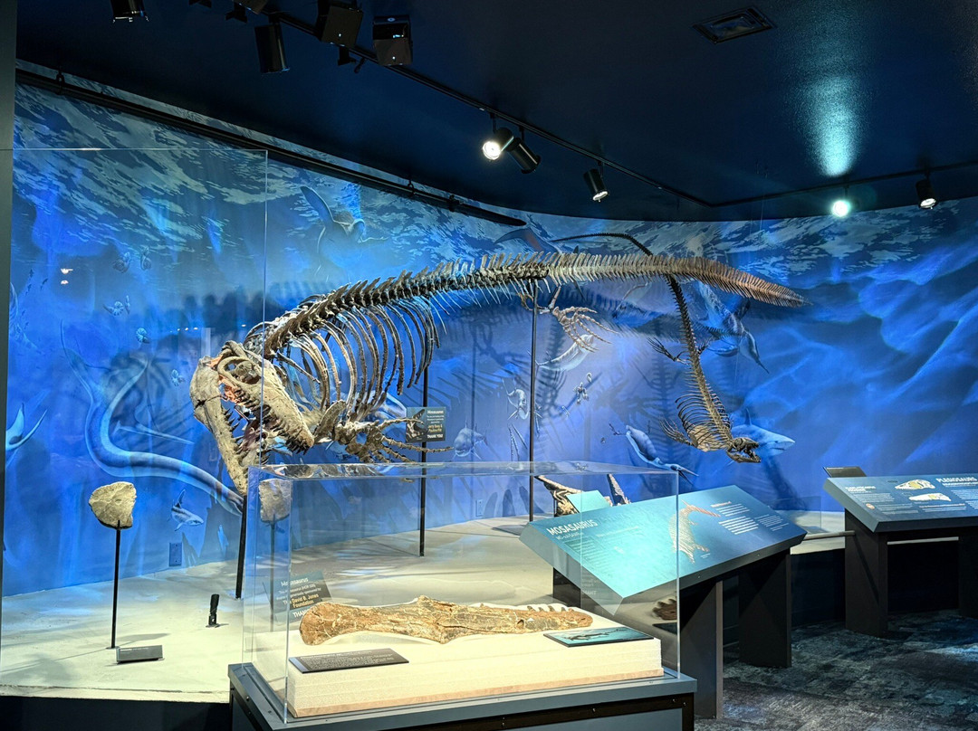 Museum of the Rockies-博兹曼必去景点