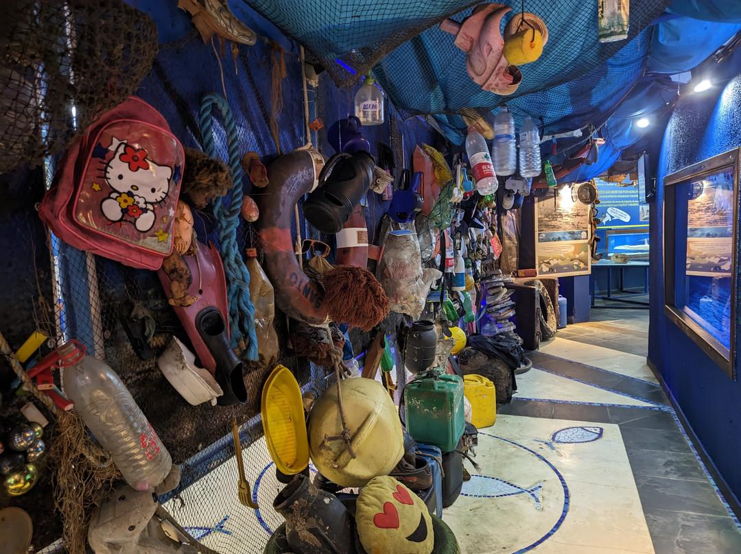 Ubatuba Aquarium-乌巴图巴必去景点