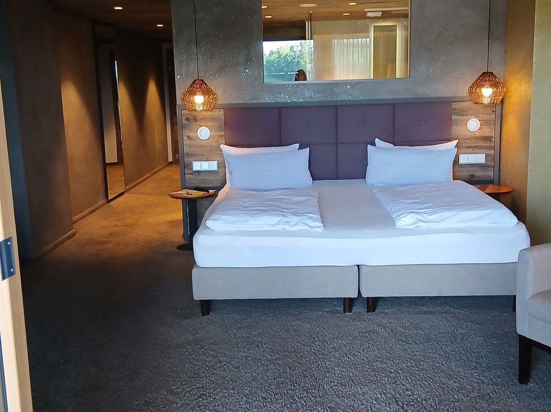 Wellnesshotel Zum Bräu主图