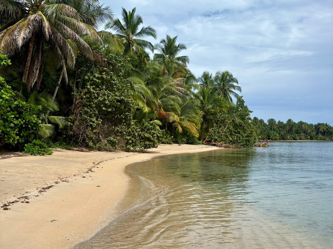 Starfish Beach-博卡斯镇必去景点
