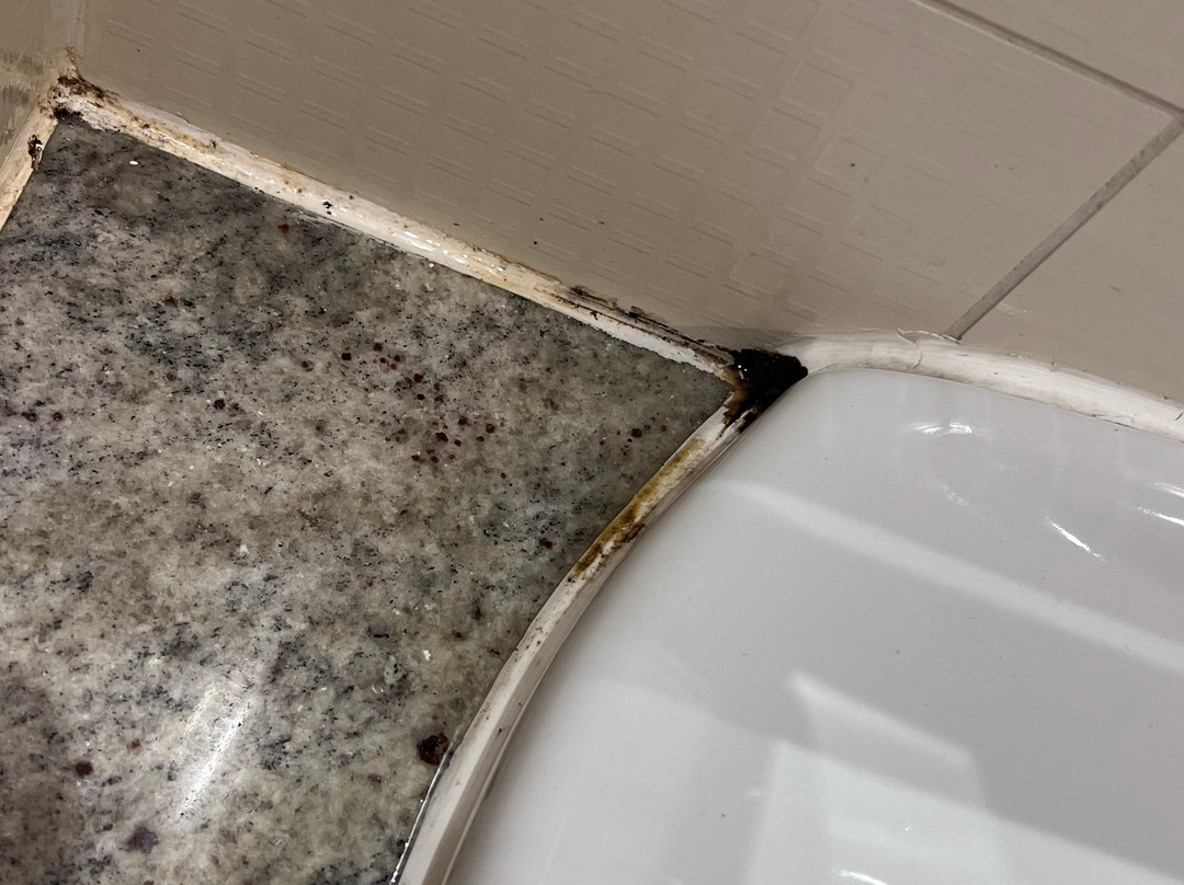 博威克庄园酒店主图
