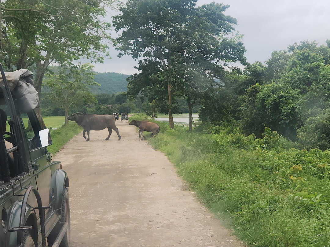 Kaziranga Eco Village Resort主图