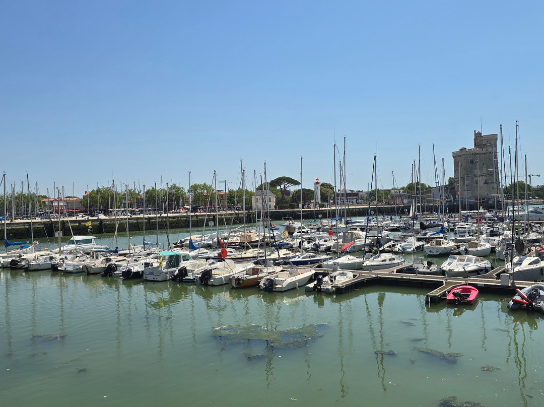 Vieux Port de La Rochelle-拉罗谢尔必去景点