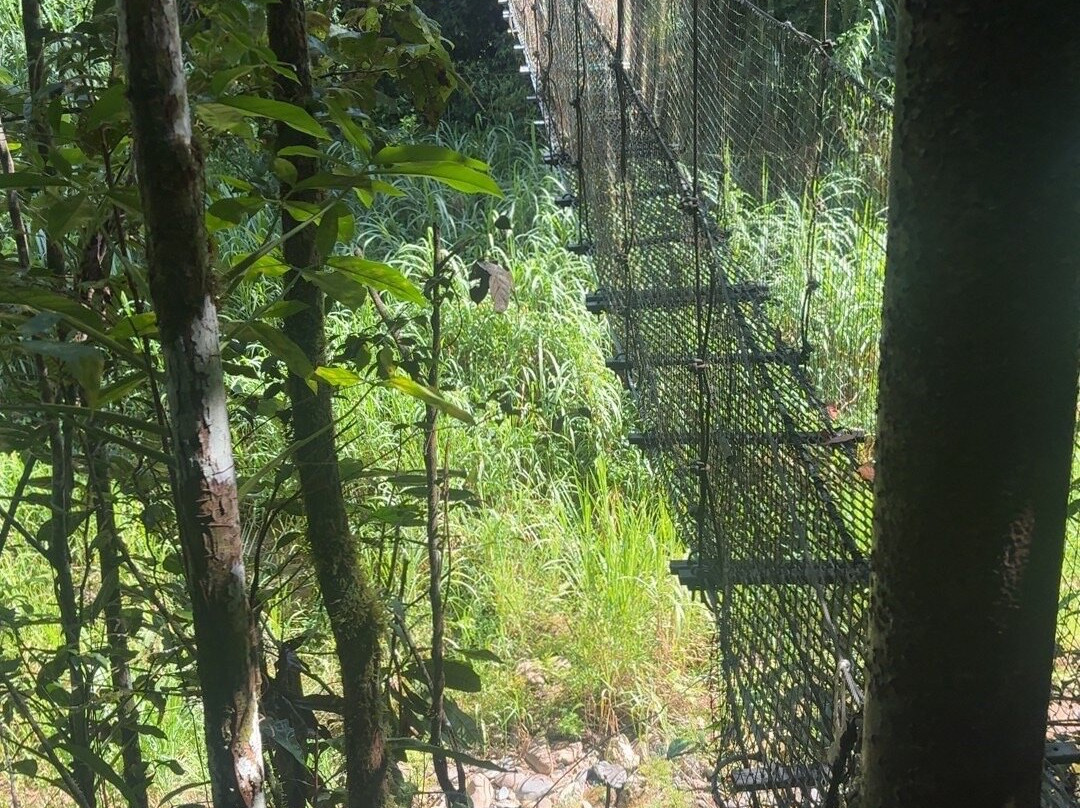 Batey Adventures-Utuado必去景点