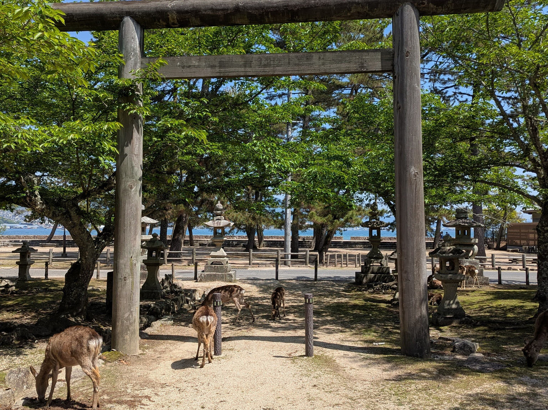宫岛町-廿日市市必去景点