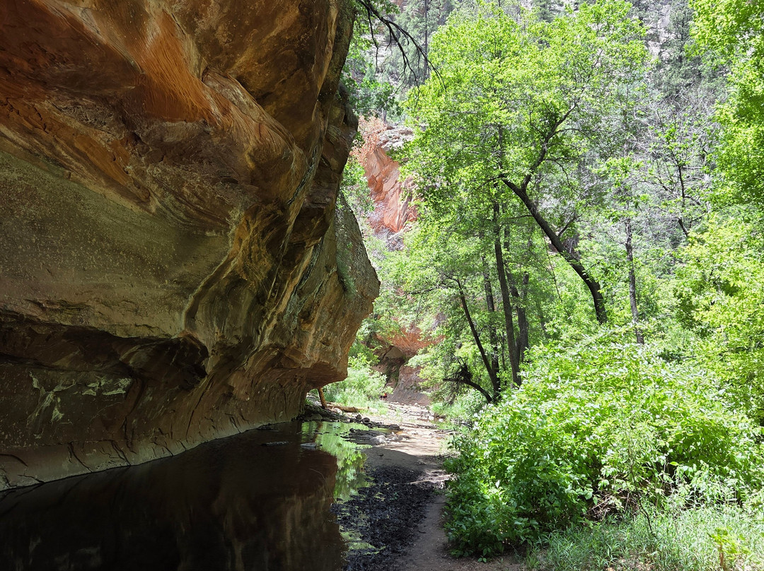 West Fork Oak Creek Trailhead-塞多纳必去景点