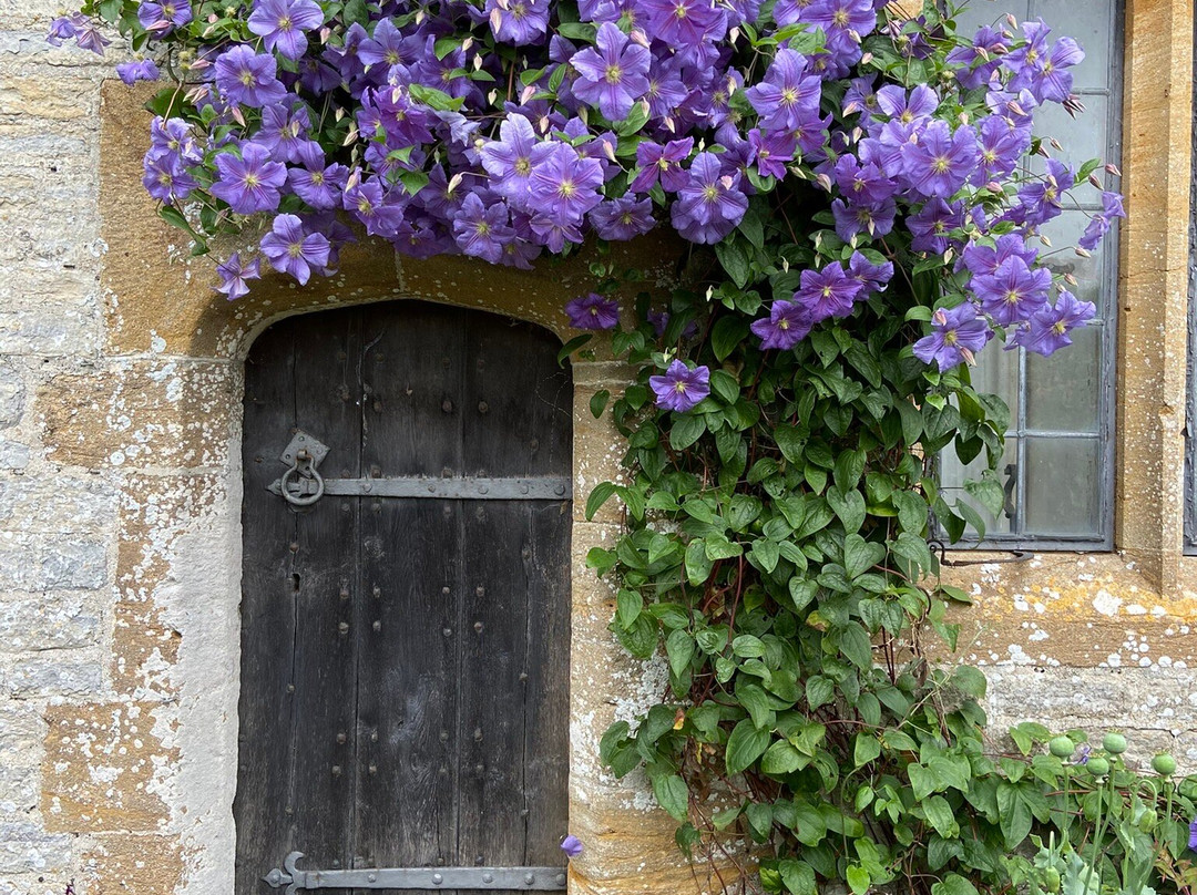 Lytes Cary Manor (National Trust)-Somerton必去景点