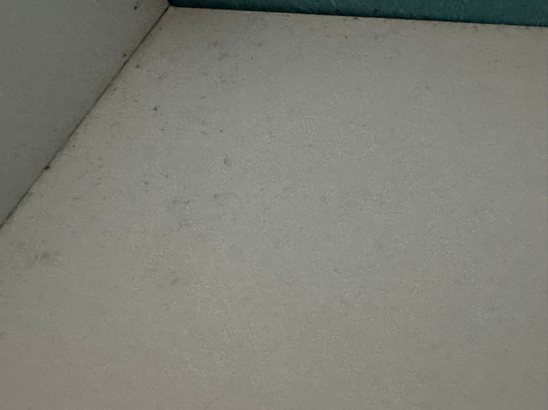 勒吉斯波特斯庄园酒店主图