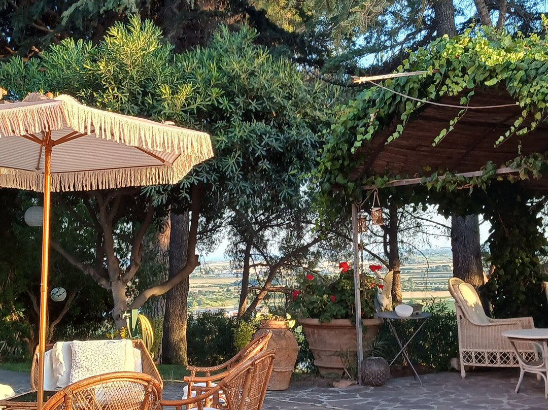 B&B Villa il Poggetto主图