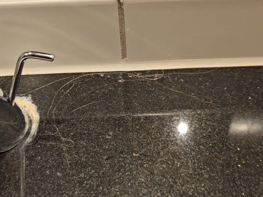 斯堪迪克尼德伦酒店主图