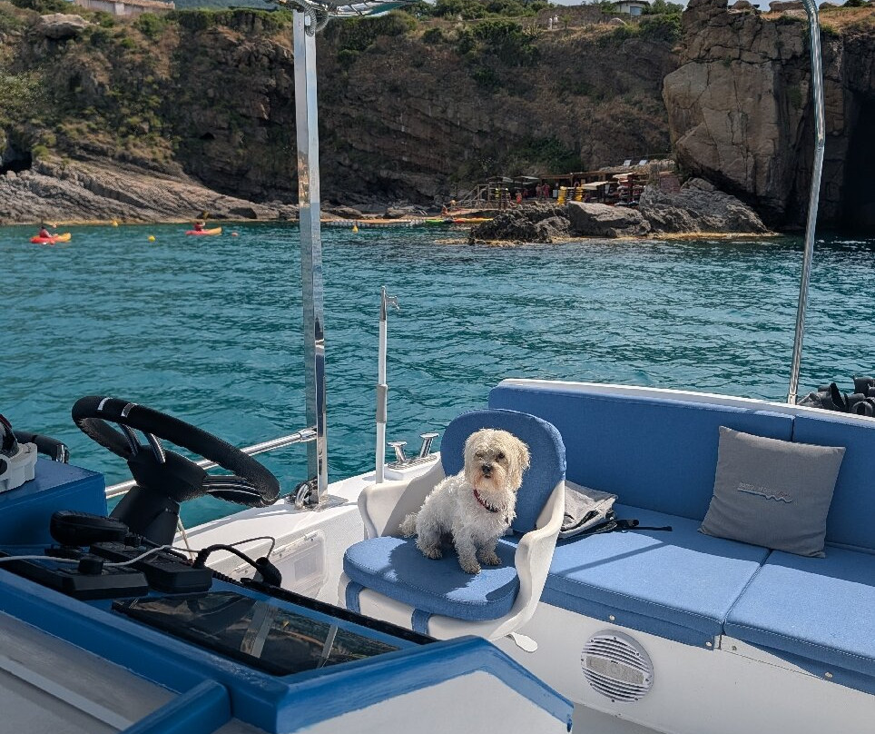 Marina yachting cefalù srl-切法卢必去景点