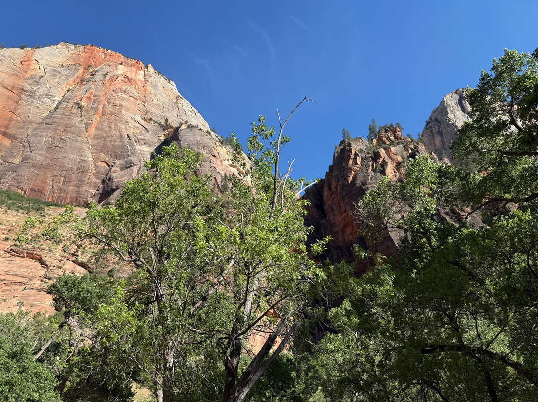 Hyatt Place Springdale/Zion National Park主图