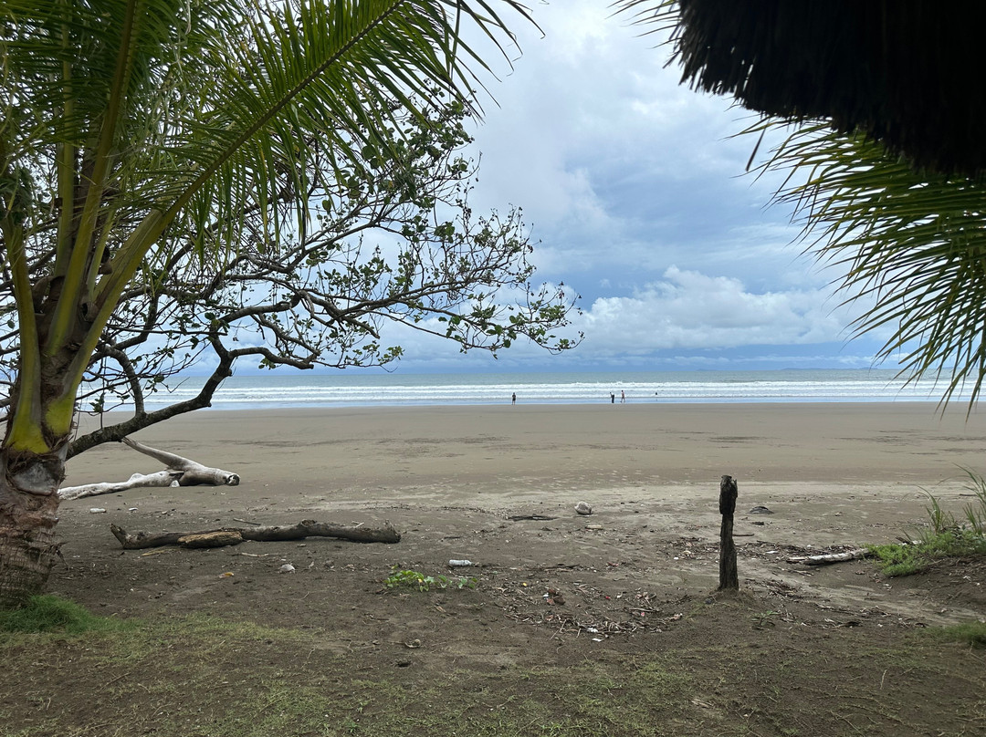 Panama Relocation Tours-波魁特必去景点
