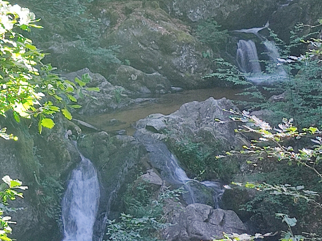 Circuit des Cascades de Tendon-Tendon必去景点