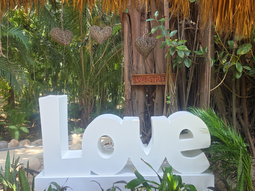 Grand Palladium Vallarta Resort & Spa主图